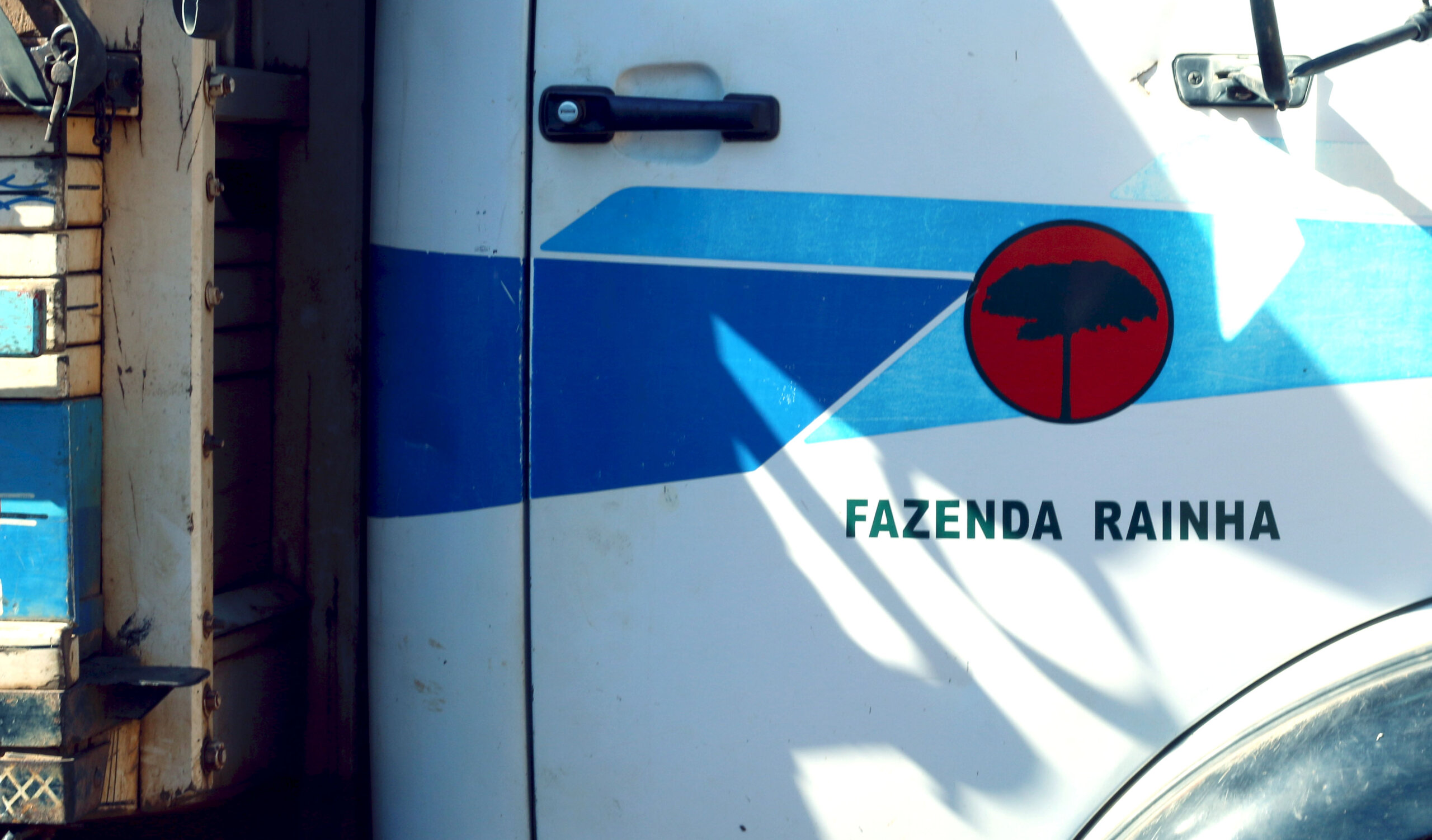 Brazylia Yellow Bourbon Fazenda Rainha - Kawa ziarnista jasno palona Specialty