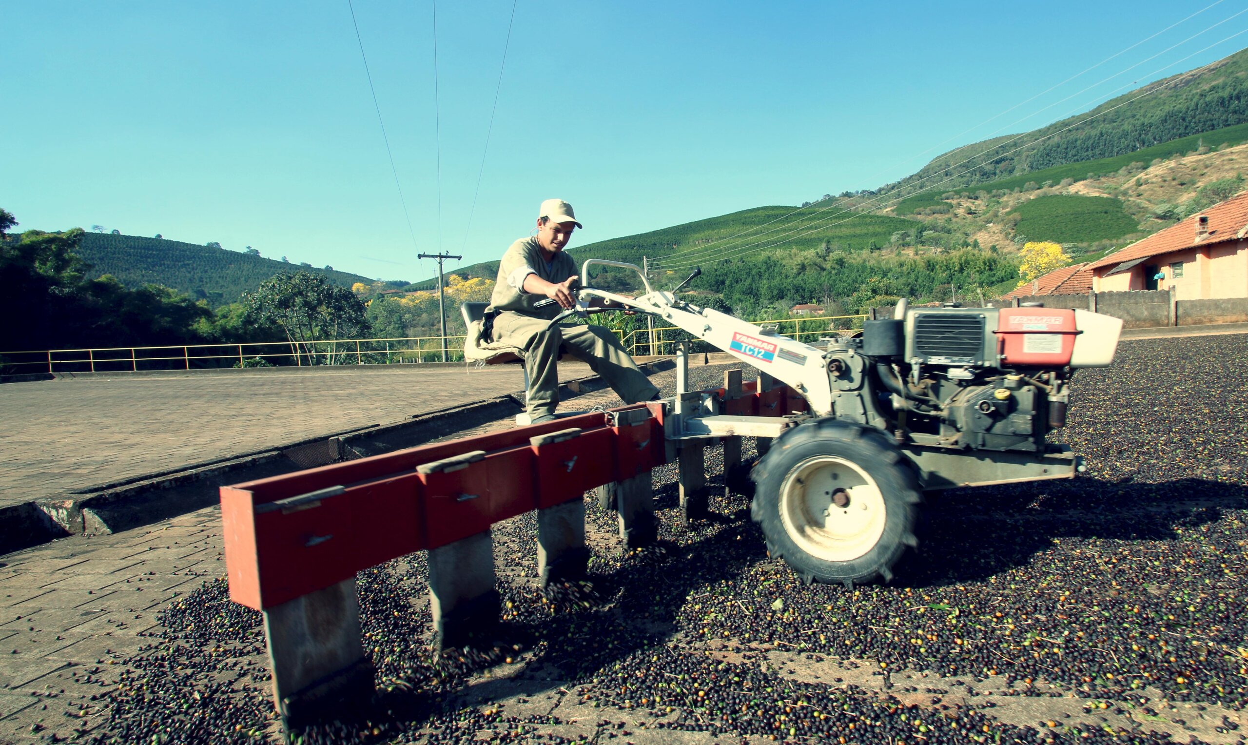 Kawa z Brazylii – światowy lider w produkcji kawy. Brazylia to światowy lider w produkcji kawy, a Minas Gerais jest jednym z najważniejszych regionów kawowych w kraju. Dzięki położeniu geograficznemu, średniej rocznej temperaturze 19°C i obfitym opadom, kawa z Brazylii wyróżnia się złożonym profilem smakowym. Tradycja uprawy kawy w tym regionie, oparta na ręcznym zbiorze i dbałości o jakość, sprawia, że brazylijskie kawy są cenione przez miłośników na całym świecie.