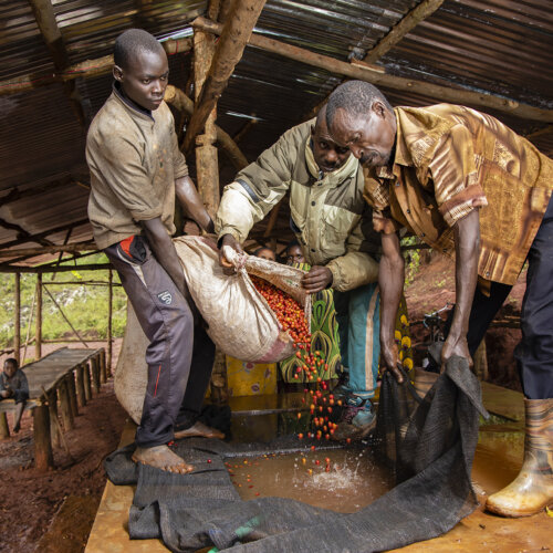 Burundi Karira - Kawa do Dripa