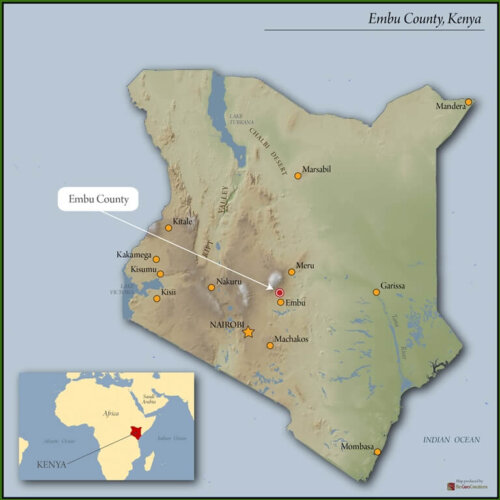 Nasza kawa jest ręcznie zbierana i starannie przetwarzana w Ngurueri Coffee Factory, aby zagwarantować najwyższą jakość i unikalny profil smakowy.