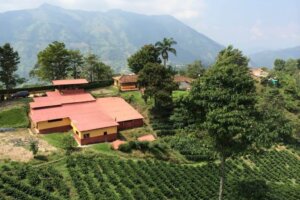 Jak zmiany klimatyczne wpływają na smak kawy? Przypadek Veracruz w Meksyku Kawa to napój, który każdego dnia towarzyszy milionom ludzi na całym świecie. Dla wielu z nas, filiżanka kawy o poranku to prawdziwy rytuał, a jej smak i aromat są kluczowe.