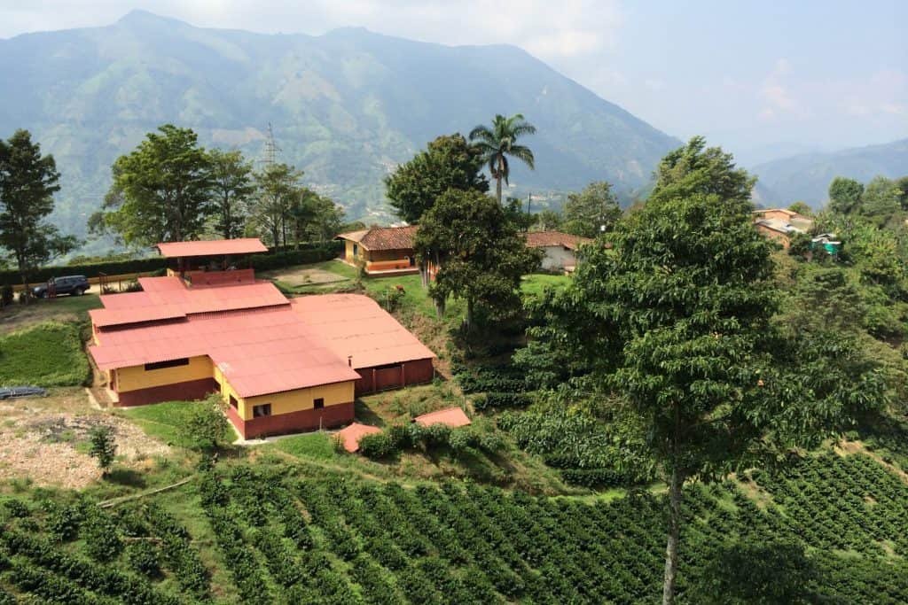 Jak zmiany klimatyczne wpływają na smak kawy? Przypadek Veracruz w Meksyku Kawa to napój, który każdego dnia towarzyszy milionom ludzi na całym świecie. Dla wielu z nas, filiżanka kawy o poranku to prawdziwy rytuał, a jej smak i aromat są kluczowe.