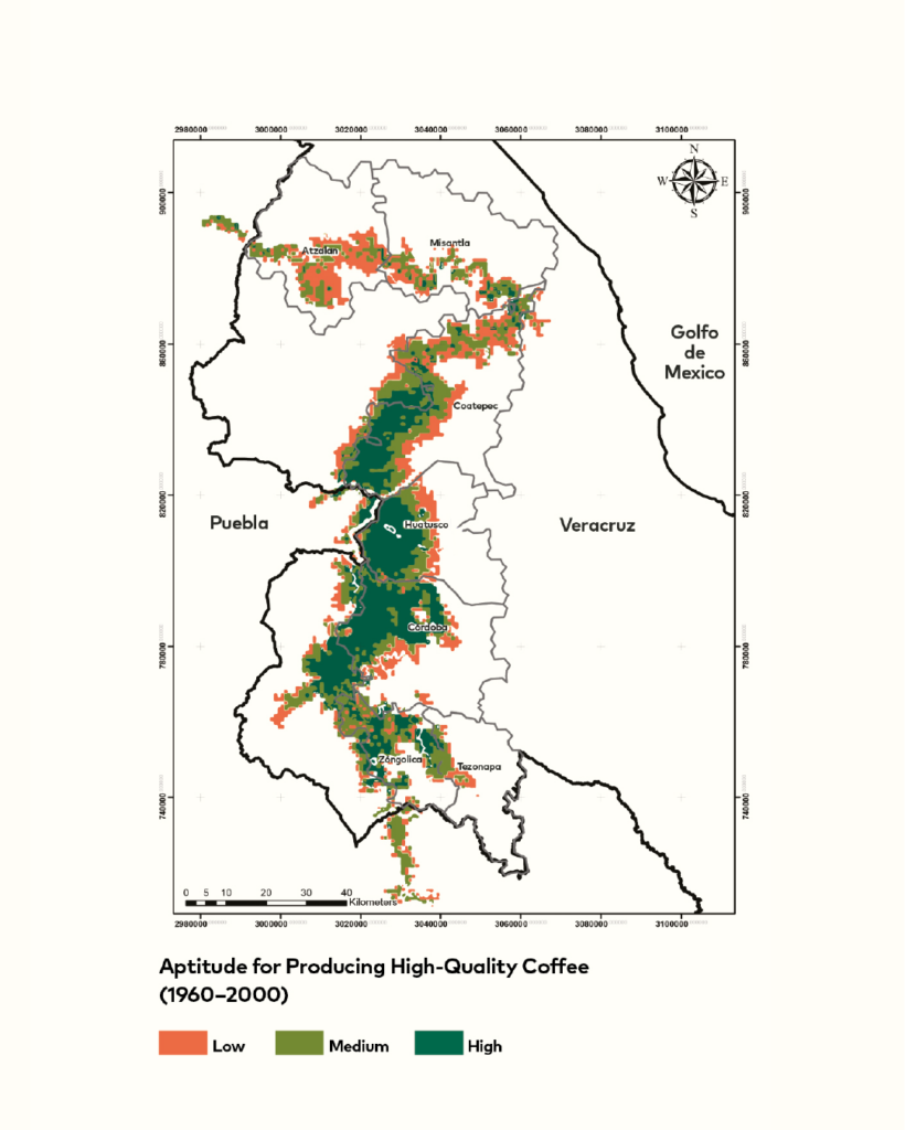Rysunek 1.
Zdolność do produkcji wysokiej jakości kawy (83 punkty lub więcej) w centralnym Veracruz, oparta na historycznych warunkach klimatycznych w regionie, podzielona na obszary o niskim, średnim i wysokim potencjale produkcyjnym.