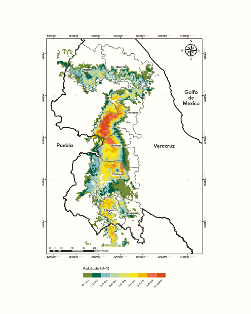 Rysunek 2.
Zdolność (0–1, od proporcjonalnie niskiej do wysokiej) do uzyskania kwiatowego smaku kawy w centralnym Veracruz na podstawie historycznych warunków klimatycznych. Zauważ, że prawdopodobieństwo wystąpienia tego smaku wzrasta w regionie uprawnym Coatepec (obszar z największym nagromadzeniem czerwonych pikseli w centralnej części badanego regionu).