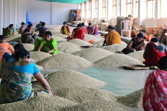 Nazwa Indie Monsooned Malabar pochodzi od malowniczego południowo-zachodniego wybrzeża Indii, które obejmuje wilgotne regiony Ghatów Zachodnich. 