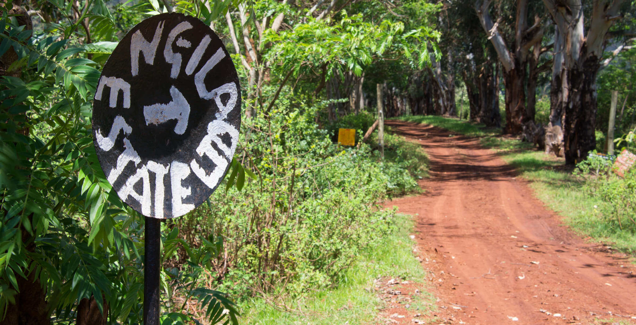 Kawa Tanzania Ngila Estate AA Washed – średnio palona pod espresso