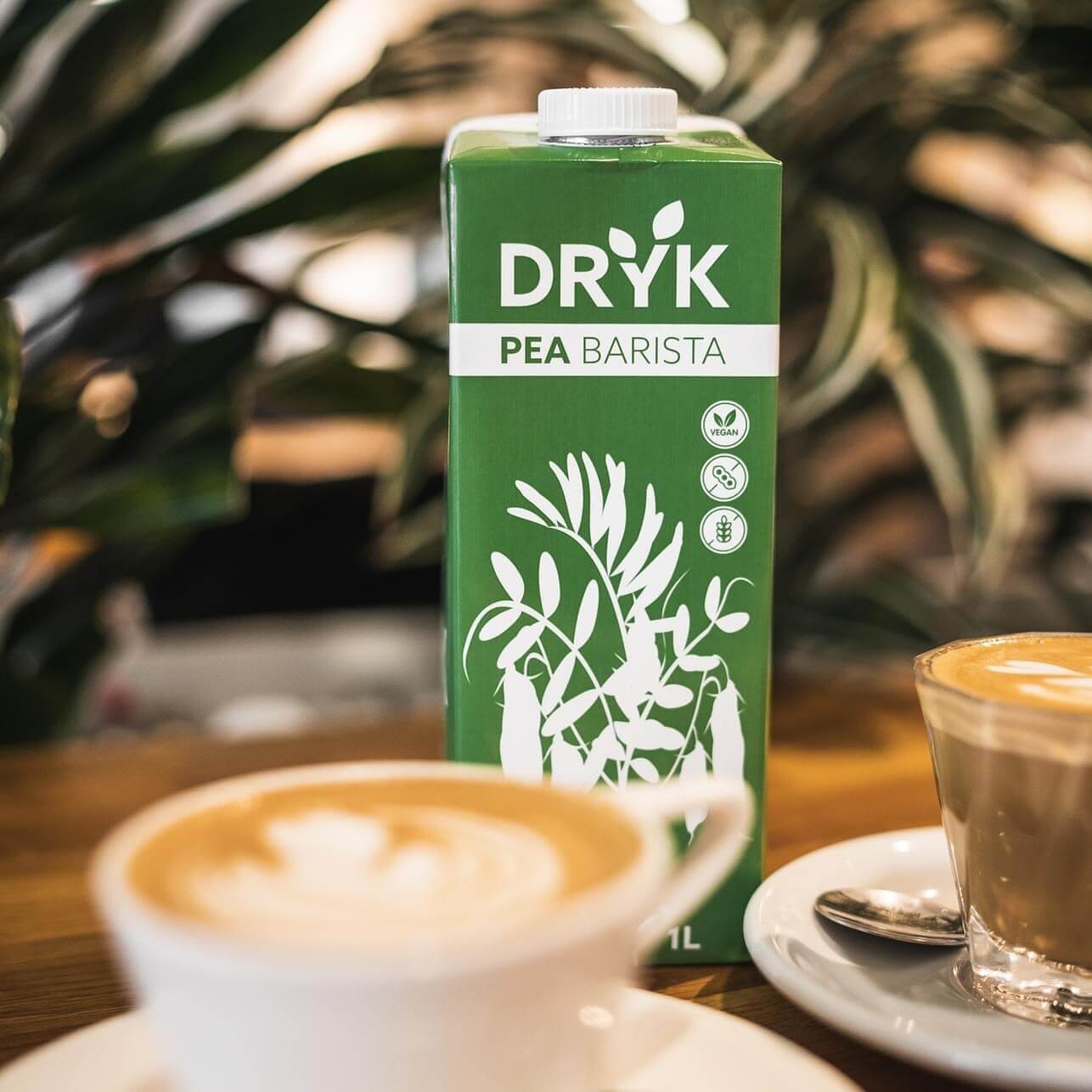 Mleko grochowe – nowa jakość w kawiarniach specialty?