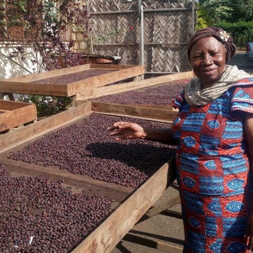 Świeżo palona kawa z Kamerunu z kooperatywy HillTop