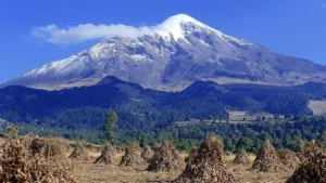 Mountain Water – naturalny proces dekofeinizacji