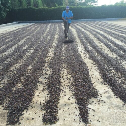 proces obrobki natural