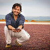 01 1 Brazylia Fazenda Barinas - Yellow Bourbon