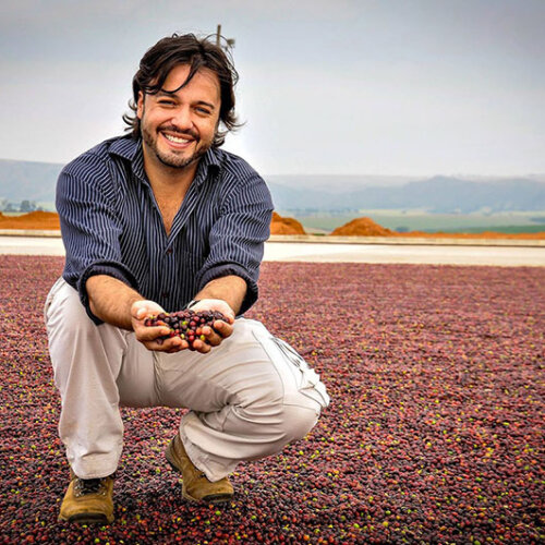 Brazylia Fazenda Barinas - Yellow Bourbon