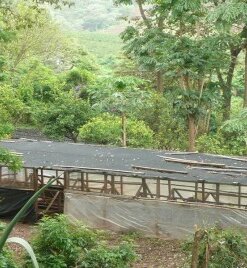 1497900979 2 Tanzania Ngila Estate Kent 250 g