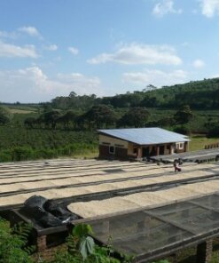 1497900979 Tanzania Ngila Estate Kent 250 g