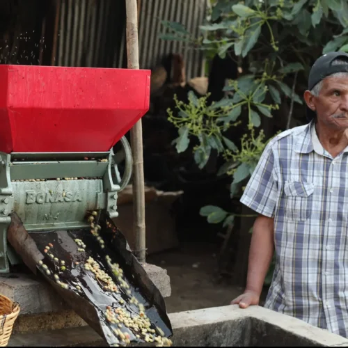 Alternative view of Kawa Meksyk El Jaguar - Colbergcoffee | Kawa Ziarnista do Ekspresu