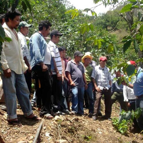 Field Technician Visit Kawa Meksyk El Jaguar - Colbergcoffee | Kawa Ziarnista do Ekspresu