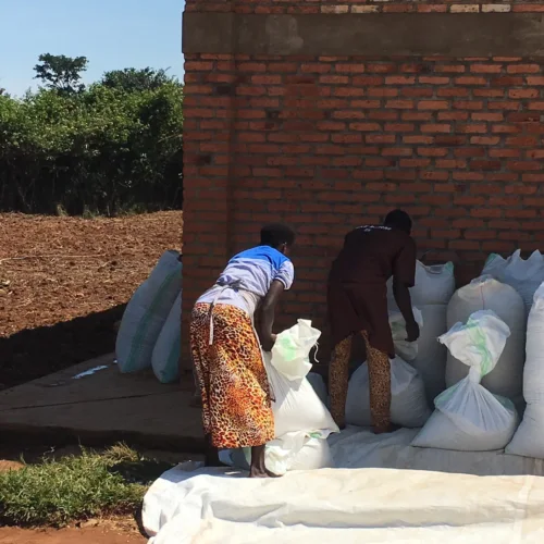 Rwanda Sake Farm - kawa ziarnista jasno palona Specialty Colbergcoffee 250 g, zdjęcie 5
