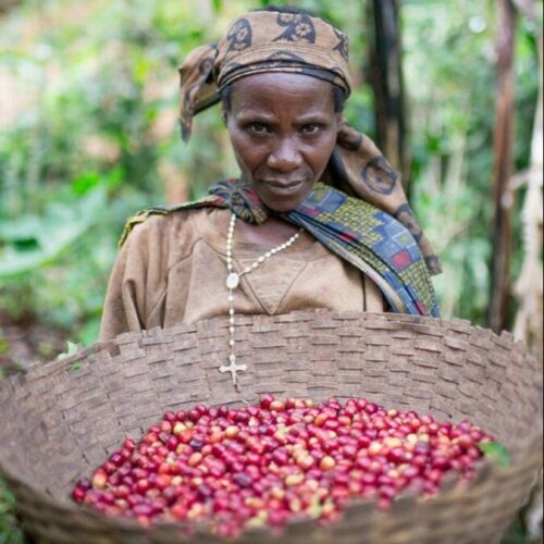 Burundi Butihinda Filtr - kawa ziarnista jasno palona specialty | Colbergcoffee 250 g - obrazek 2