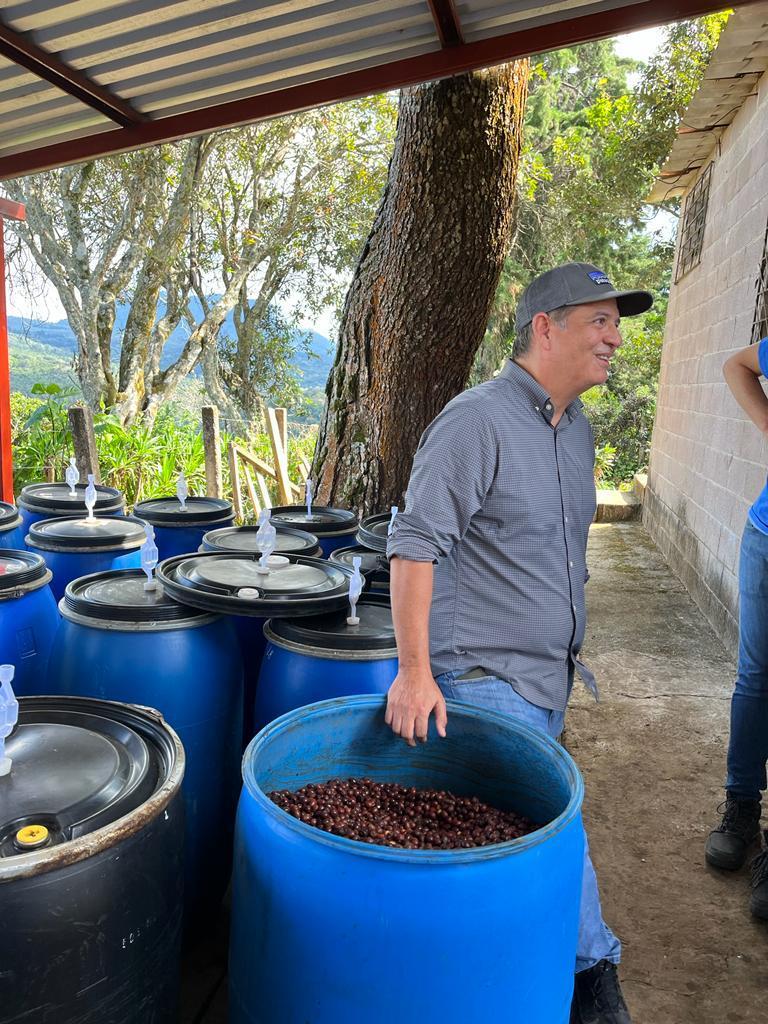 proces anaerobic beztlenowy kawa colbergcoffee Kawa Salwador Finca El Cerro Pacamara Anaerobic Filter | 200g