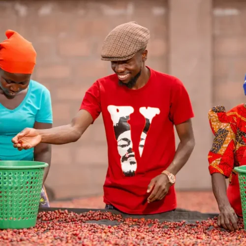 : Ziarna są starannie selekcjonowane i poddawane procesowi mycia oraz suszenia w stacji myjącej Ibero Uganda.