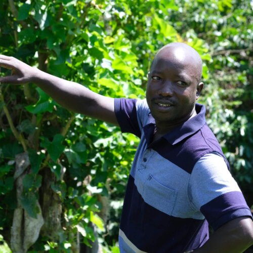 Uganda Bulambuli Espresso - kawa ziarnista do ekspresu | Colbergcoffee - obrazek 7