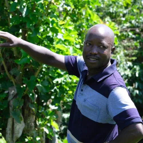 Uganda Bulambuli Espresso, photo 7