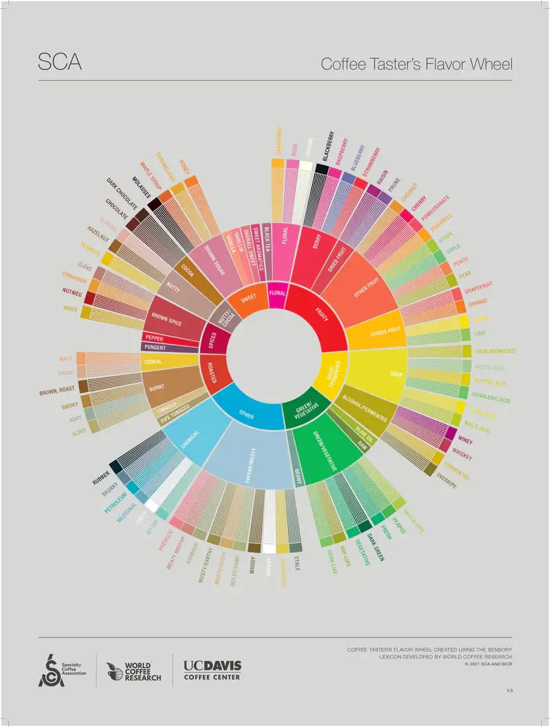 Testy opisowe – tworzenie szczegółowych profili sensorycznych, korzystając z narzędzi takich jak Coffee Flavor Wheel.