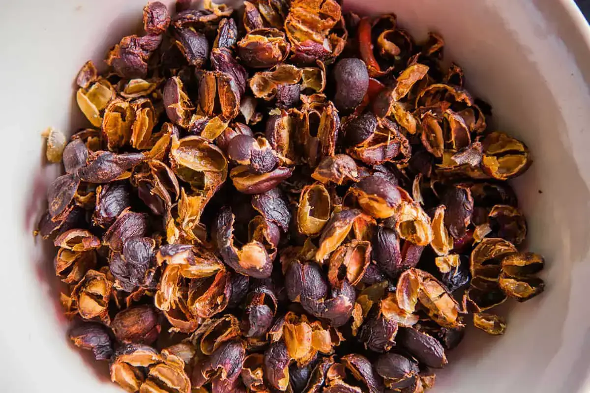 Podczas procesu obróbki kawy na plantacjach powstaje nie tylko ziarno, ale również cascara – suszone owoce kawowca.