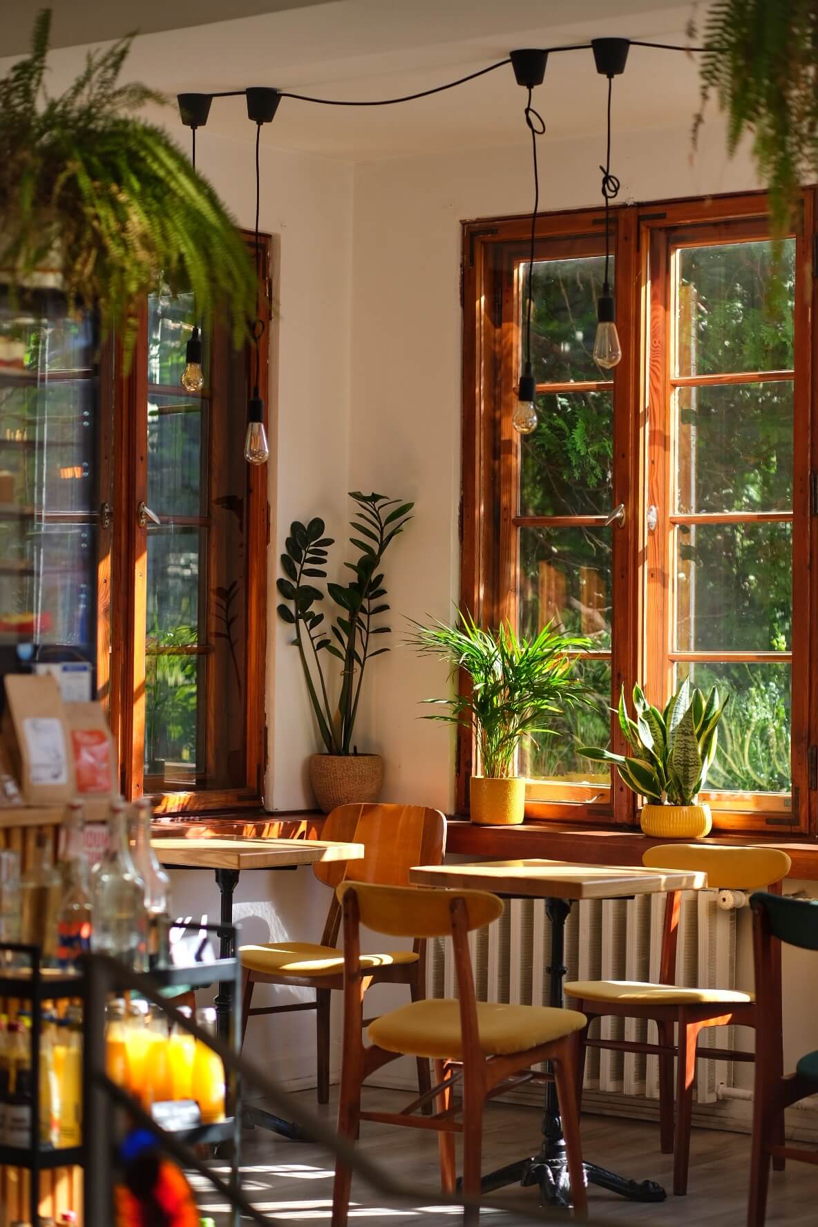 Colbergcoffee wnętrze kawiarni kołobrzeg