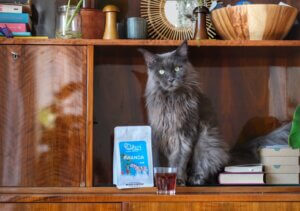 Nie każda kawa ma swoją historię. Rwanda Nova powstaje na farmie, która oprócz produkcji wysokiej jakości ziaren, zmienia codzienność setek kobiet pracujących przy jej uprawie i obróbce