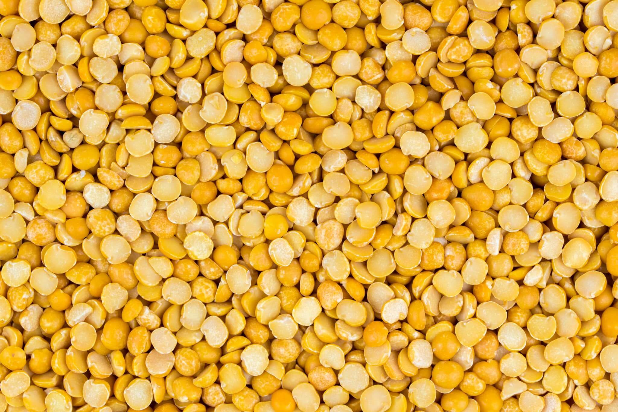 DRYK jest idealny dla osób z nietolerancjami i na diecie roślinnej:
– 100% roślinny, bez laktozy
– bez glutenu
– wzbogacony w wapń, witaminy D3, B12 i ryboflawinę
