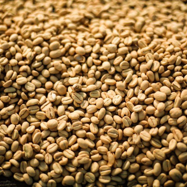 Gafisse Washed min 640x640 1 Etiopia Shantawene Gafisse | Specialty Light Roasted 200 g