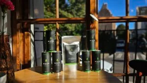 Moya Matcha Traditional: the Japanese matcha to start with