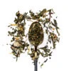 Herbata zielona Sencha Cytrynowo-Imbirowa 100 g SUZANN