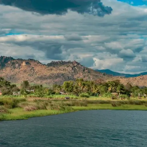 Malawi Ngapani Estate - kawa ziarnista do ekspresu | Colbergcoffee - obrazek 4