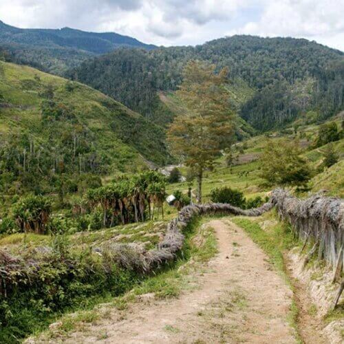 kawa z Papui-Nowej Gwinei o słodkim,