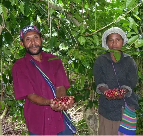 Papua Wahgi Valley Espresso - kawa z Papui-Nowej Gwinei o słodkim, deserowym profilu