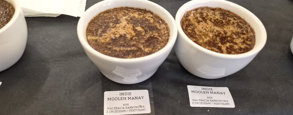 Dwie miseczki cuppingowe z kawą Indie Mooleh Manay po maceracji karbonowej