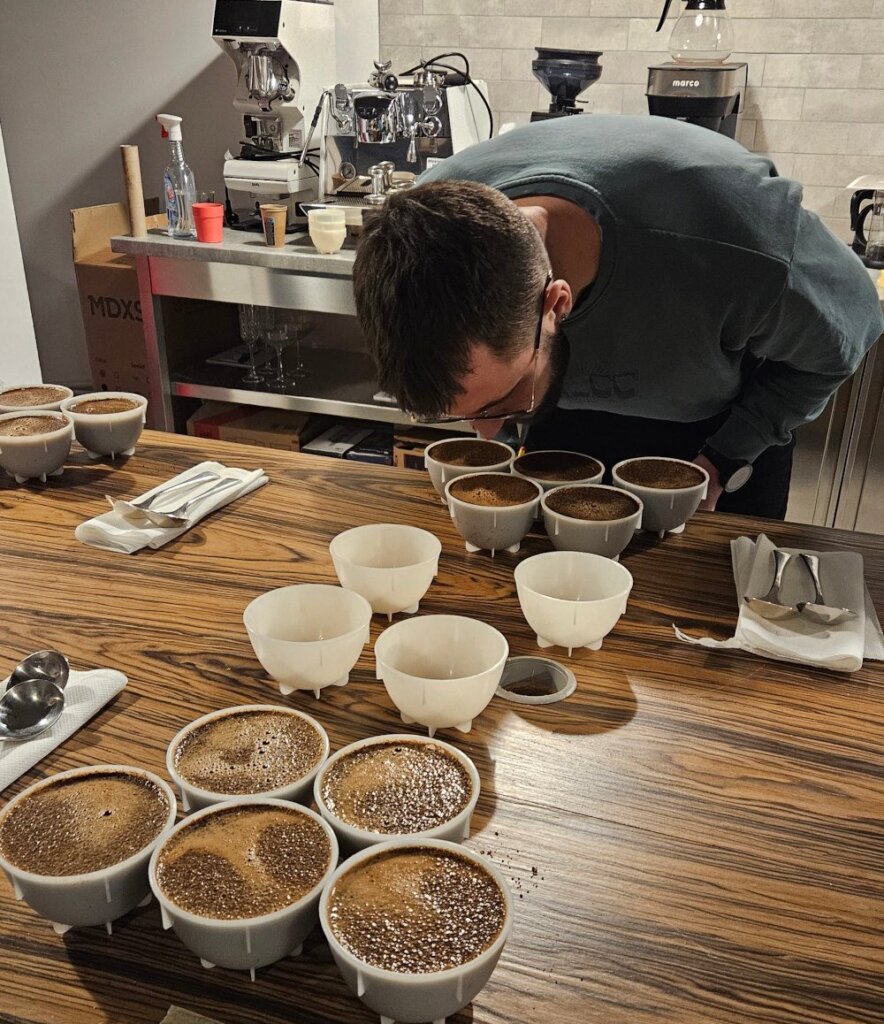 Barista ocenia aromat próbek kawy podczas cuppingu w Colbergcoffee